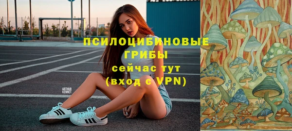 ALPHA PVP Бородино